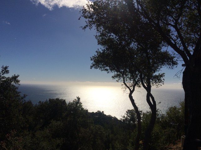 EFF10342-0B9A-4D38-B727-949799C4B8A0