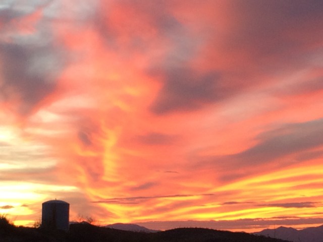 F8BF46BB-0537-4F24-B555-09D7900EC3E5