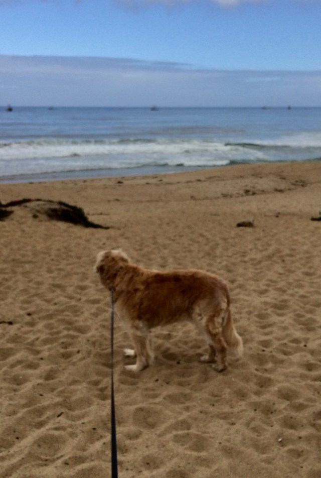 0110BBE1-74A8-477E-8DFD-F75E360C4415