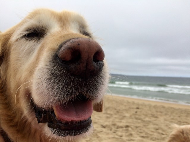 21E85830-F942-431B-8301-C354C2B451A9