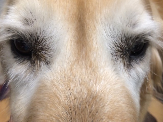 58ED641F-F76A-4B37-80FF-6E32EAF499F7