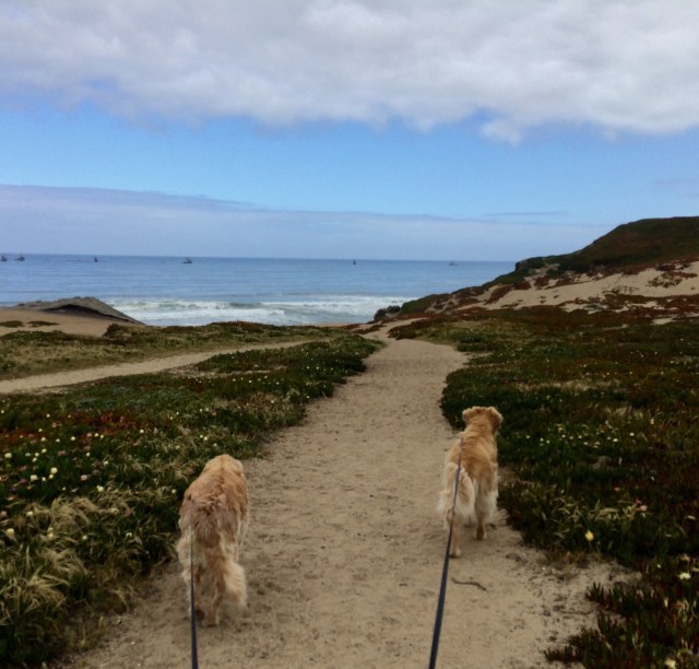 5FBB3A26-7017-4426-BEDF-7F410C02AC6E