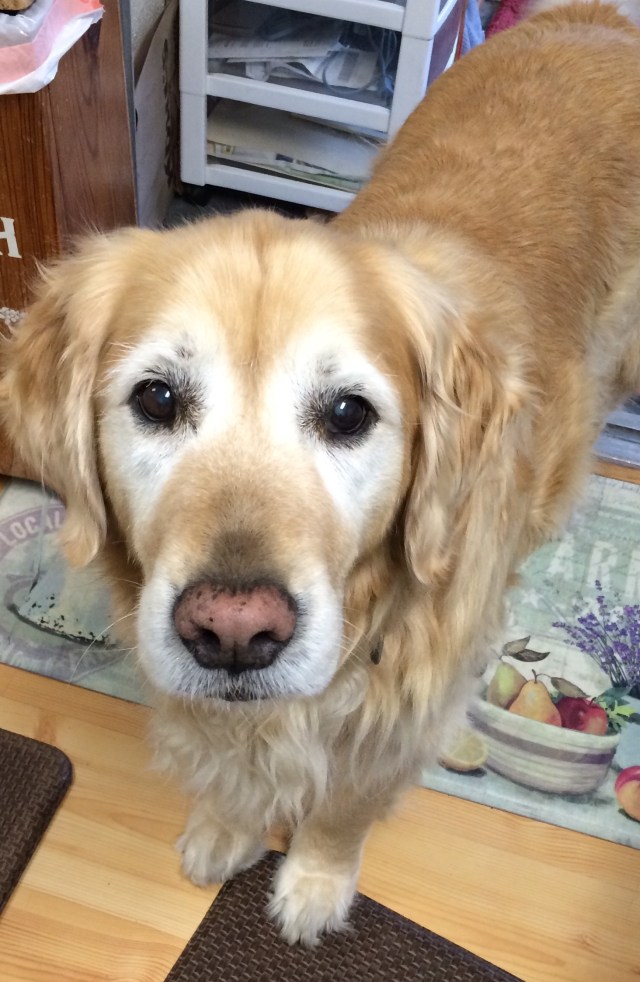 68FE0750-9312-45A3-9473-FA9E4F821D62