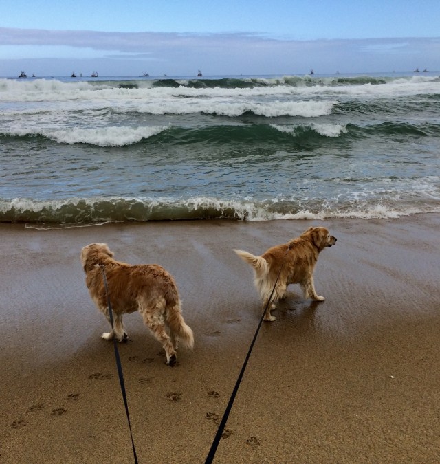 9E7B4640-661B-4EF3-94DE-16150B37C144