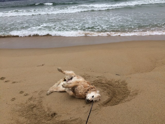 F849C0AB-CD77-46A5-8B4E-E7D96DA820C7