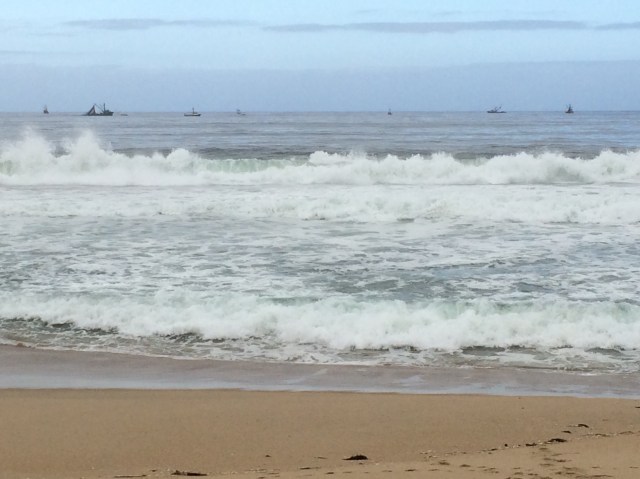 FEF77AAF-B69C-4006-A48B-9B3A5C4318DC