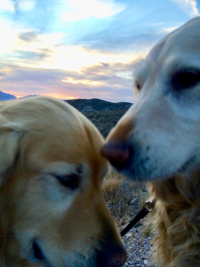 7405243B-EEB6-4AF6-8B40-741071296822