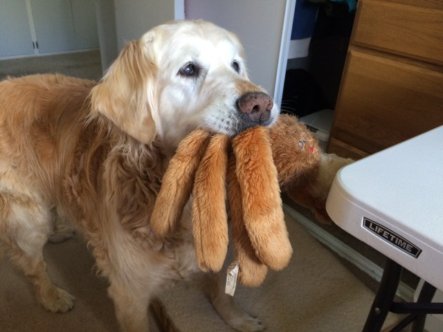 C085AC4C-B9A5-4A1D-933B-CEB2032657F7