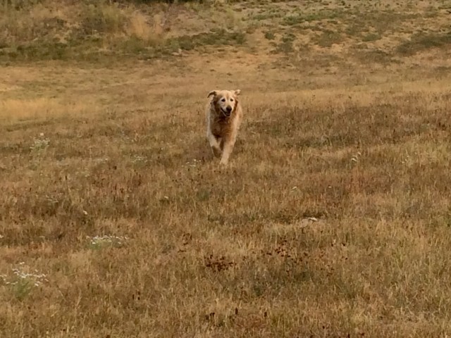 C2CAB8F8-8B45-4E7C-931F-2492D41956C1