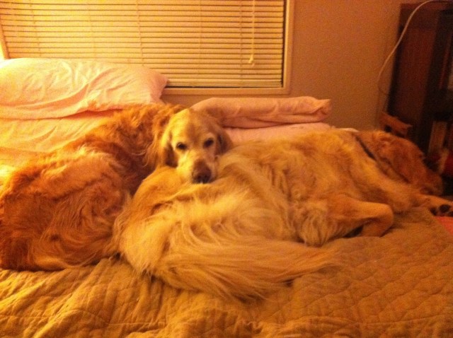 C9FCA57B-7B0C-4E01-AF6B-AA25A3FD3DA8